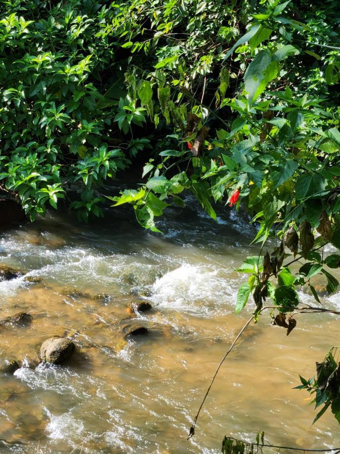 Hospedaria E Camping Quintal Do Mundo Луміар Екстер'єр фото